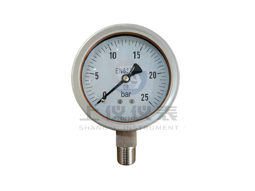 EN837耐震压力表